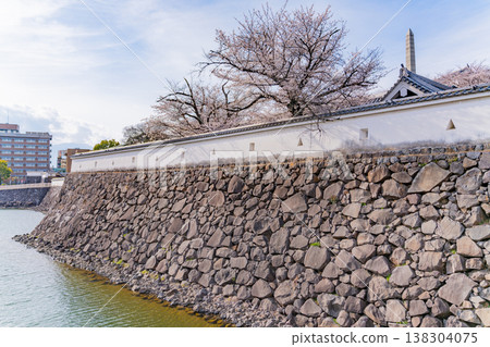 (Yamanashi Prefecture) Cherry blossoms in bloom at Maizuru Castle Park (Kofu Castle Ruins) inner moat 138304075