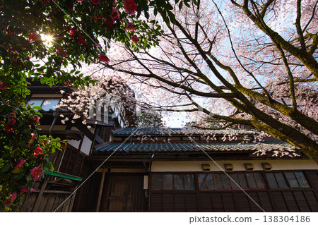 Spring arrives in the village of Manyo. Spring arrives in the village of Manyo. 138304186
