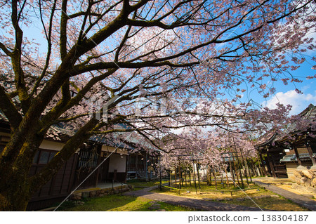 Spring arrives in the village of Manyo. Spring arrives in the village of Manyo. 138304187