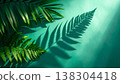 Fern Leaves Casting Shadows on a Blue Green Textured Background 138304418