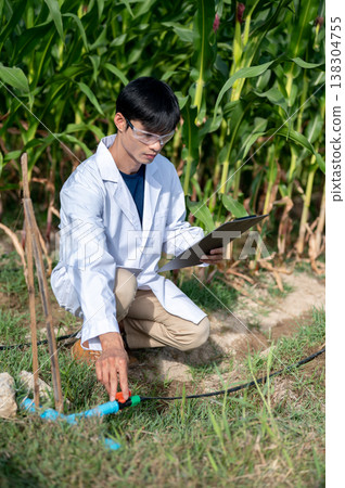 Asian agricultural researcher man checking water system while sitting crouching in green crop farm. Asian agricultural researcher man checking water system while sitting crouching in green crop farm. 138304755