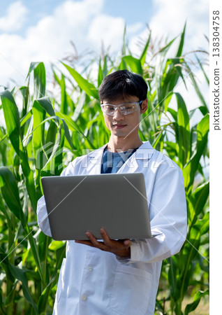 Asian agricultural researcher man holding and working on laptop while standing walking in crop farm. Asian agricultural researcher man holding and working on laptop while standing walking in crop farm. 138304758