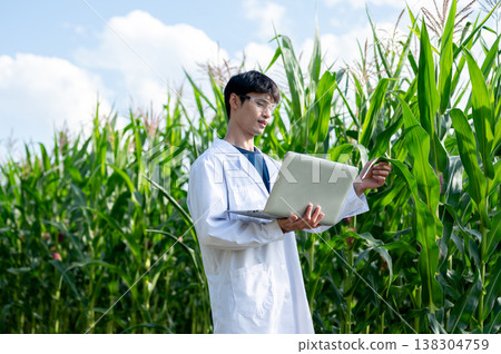 Asian agricultural researcher man holding green corp tree as looking at laptop while working in farm 138304759