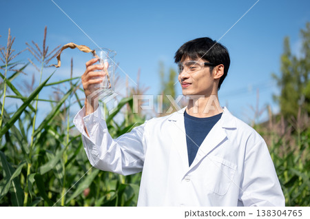 Asian agricultural researcher man holding beaker looking at sample while standing in green crop farm Asian agricultural researcher man holding beaker looking at sample while standing in green crop farm 138304765