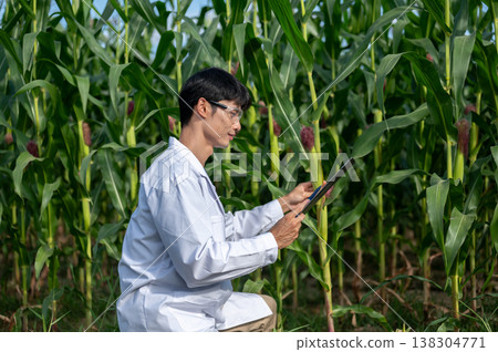 Asian agricultural researcher man looking at clipboard holding green crop sitting crouching in farm Asian agricultural researcher man looking at clipboard holding green crop sitting crouching in farm 138304771
