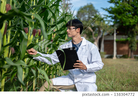 Asian agricultural researcher man holding clipboard looking at green crop sitting crouching in farm. Asian agricultural researcher man holding clipboard looking at green crop sitting crouching in farm. 138304772