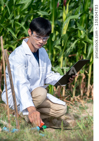 Asian agricultural researcher man checking water supply while sitting crouching in green crop farm. Asian agricultural researcher man checking water supply while sitting crouching in green crop farm. 138304783