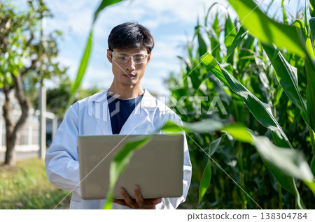 Asian agricultural researcher man holding and looking at a laptop while walking in green crop farm. Asian agricultural researcher man holding and looking at a laptop while walking in green crop farm. 138304784