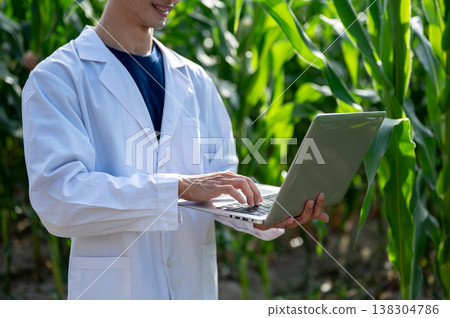 Close up of agricultural researcher man holding looking at laptop while walking in green crop farm 138304786