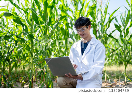 Asian agricultural researcher man holding and working on laptop while sitting crouching in crop farm 138304789