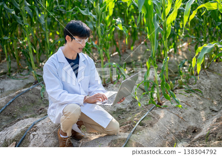 Asian agricultural researcher man working on laptop while sitting crouching over soil in crop farm. Asian agricultural researcher man working on laptop while sitting crouching over soil in crop farm. 138304792