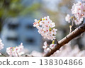 櫻花 138304866