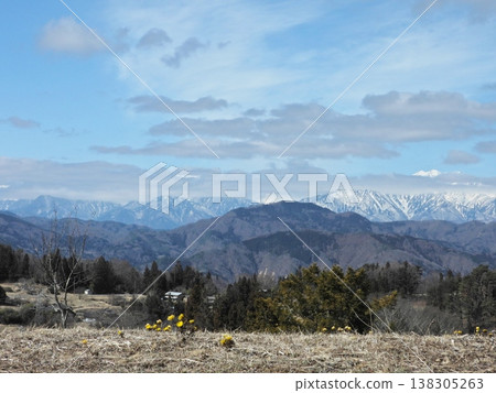 View from the Adonis amurensis colony in Ooka Hikata in early spring 138305263