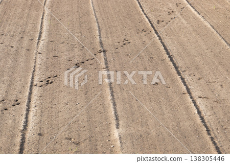 Soil texture background with animal footprints Soil texture background with animal footprints 138305446