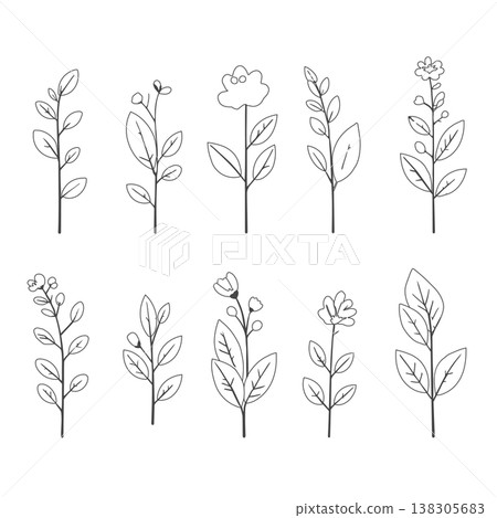 Collection of grass and flowers: Hand-drawn style vector illustrations of grass and flowers Collection of grass and flowers: Hand-drawn style vector illustrations of grass and flowers 138305683