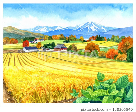 Rice paddies after the autumn harvest and the snow-capped mountain range of the Northern Daisetsuzan Mountains. Rice paddies after the autumn harvest and the snow-capped mountain range of the Northern Daisetsuzan Mountains. 138305840