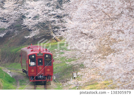 一排排櫻花樹和“琴琴”（平成築豐鐵道） 138305979