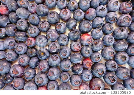藍莓 水果 莓果 138305980