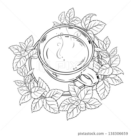 Melissa Tea in Teapot Outline Illustration. 138306659