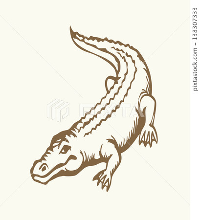 Vector drawing. The crocodile lies on the ground 138307333