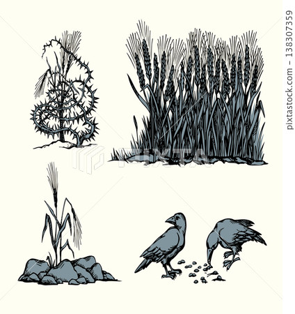 Vector drawing. Old wheat field. Biblical parable Vector drawing. Old wheat field. Biblical parable 138307359