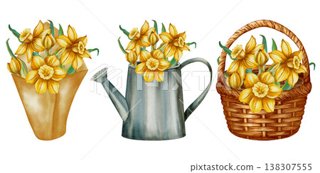 Set of watercolor illustrations of daffodil bouquets in a package, watering can, and basket. Spring floral illustration is perfect for holiday cards, birthdays, International Women's Day, Easter 138307555