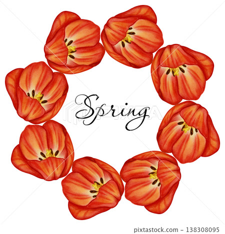 Watercolor spring wreath of vibrant red tulips. Hand-drawn circular floral frame with "Spring" lettering. Botanical illustration for greeting cards, posters, and seasonal decor, textiles, packaging Watercolor spring wreath of vibrant red tulips. Hand-drawn circular floral frame with "Spring" lettering. Botanical illustration for greeting cards, posters, and seasonal decor, textiles, packaging 138308095