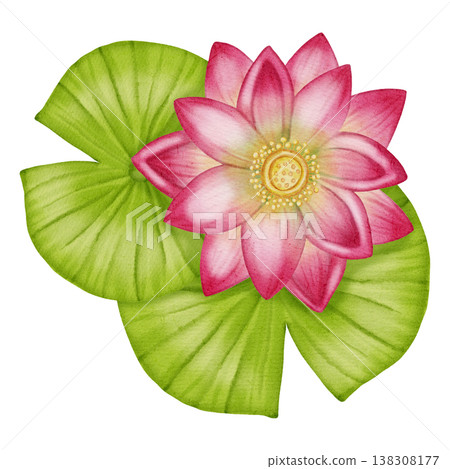 Watercolor pink lotus flower with green leaves. Hand drawn botanical composition of blooming water lily. Floral illustration for yoga, spa, meditation and zen designs 138308177