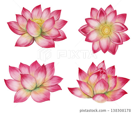 Set of watercolor illustrations of pink lotuses and buds. Hand-drawn botanical illustration of water lilies, isolated on a white background. Floral elements for wedding invitations, greeting cards 138308178