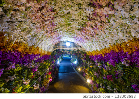 展廳裡擺滿了色彩繽紛的蘭花 138308688