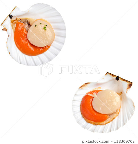 Grilled scallops on a white background. Grilled scallops on a white background. 138309702