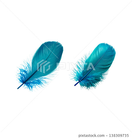 Light blue and white feathers are placed on a white background. Light blue and white feathers are placed on a white background. 138309735
