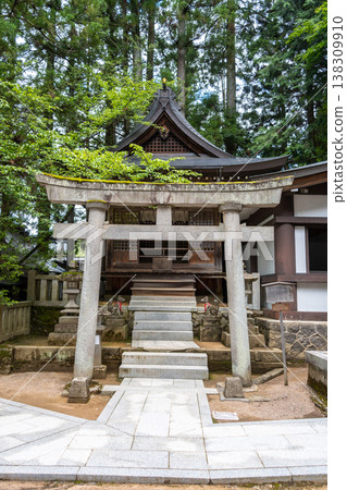 Sakurayama Hachimangu Shrine buildings surrounded by tall trees in Takayama, Japan Sakurayama Hachimangu Shrine buildings surrounded by tall trees in Takayama, Japan 138309910