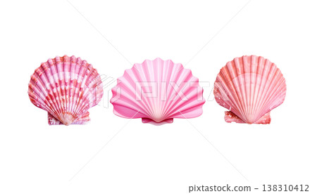 A single spiral conch shell separated from a white background. 138310412