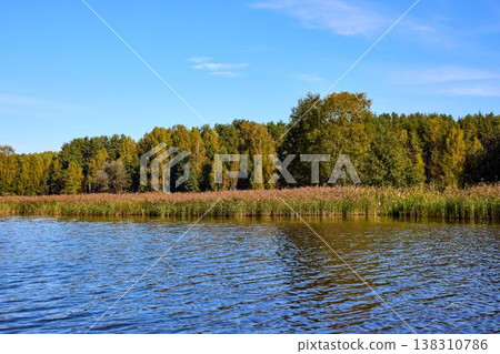 Serene Riverbank Scene with Lush Greenery Serene Riverbank Scene with Lush Greenery 138310786