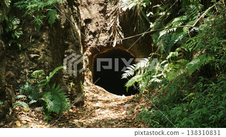 Tunnel in the jungle. The entrance to the stone cave is hidden by greenery. Tunnel in the jungle. The entrance to the stone cave is hidden by greenery. 138310831