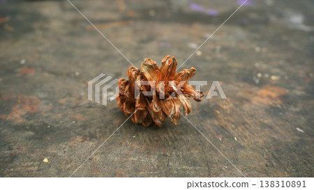Pine cone on wood background 138310891