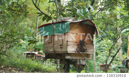 Old wooden beehive on the edge of the forest. Beekeeping. Wooden beehive and bees. Old wooden beehive on the edge of the forest. Beekeeping. Wooden beehive and bees. 138310918