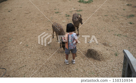Little girl playing with deer in the zoo. Little girl playing with deer in the zoo. 138310934