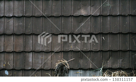 Roof tiles of a house in a rural area. 138311157