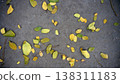 Yellow leaves on the cement floor in the garden. Nature autumn background. 138311183