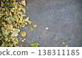 Dry leaves on cement floor, top view, copy space. 138311185