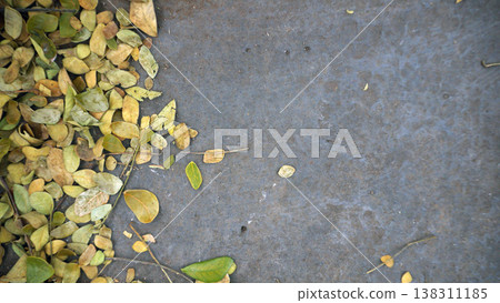 Dry leaves on cement floor, top view, copy space. Dry leaves on cement floor, top view, copy space. 138311185