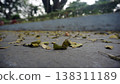 Fallen leaves on the cement floor in the park. 138311189
