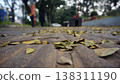 Fallen leaves on the floor in the park. Autumn background. Selective focus. 138311190
