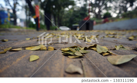 Fallen leaves on the floor in the park. Autumn background. Selective focus. 138311190