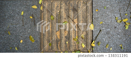 Fallen leaves on the paving floor in the garden. Autumn concept. 138311191