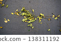 Dry leaves and branches of a tree on the ground in autumn. 138311192