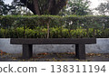 Bench in the park with trees and bushes in the background in the morning. 138311194