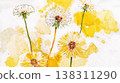 Watercolor dandelion illustration 138311290